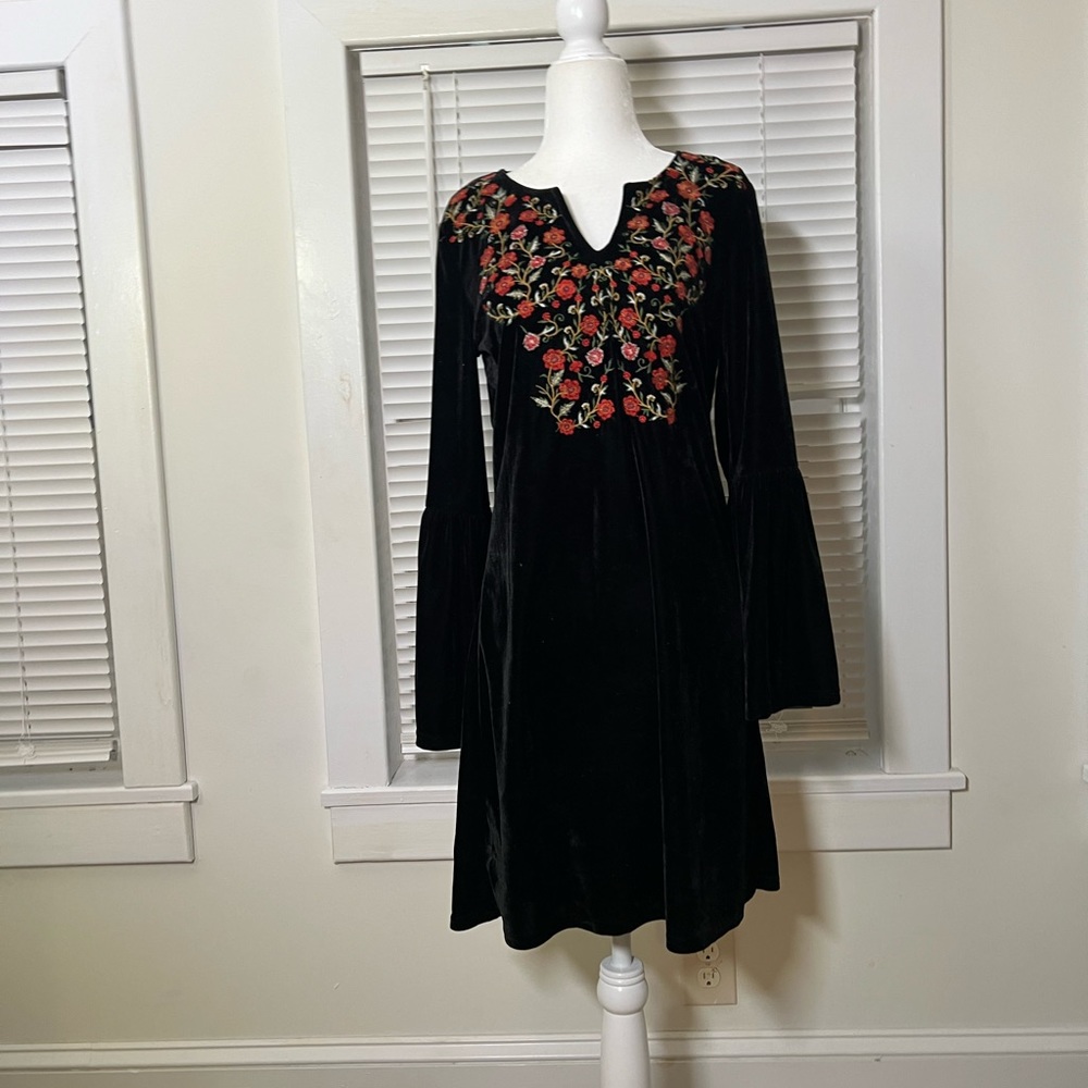 Velvet Embroidered Dress